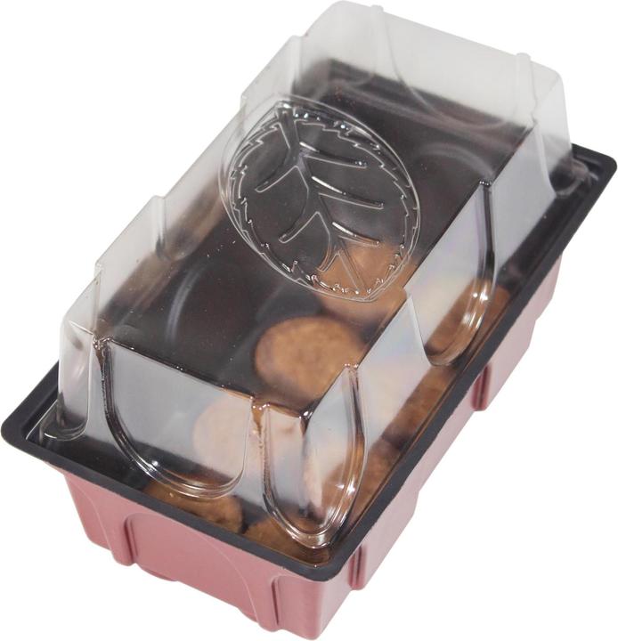 Produktbild Windhager Zimmer-Treibhaus Mini mit Quelltabs