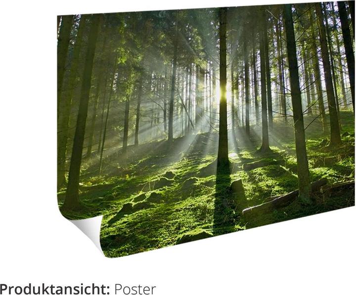 Immagine prodotto Artland Quadro su tela Tango Astratto T1XZ (40x40 cm)