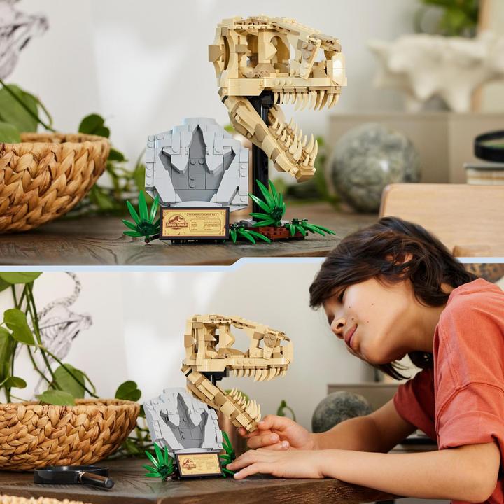 Image du produit LEGO Fossiles de dinosaures : tête de T.-rex (76964, LEGO Jurassic World)