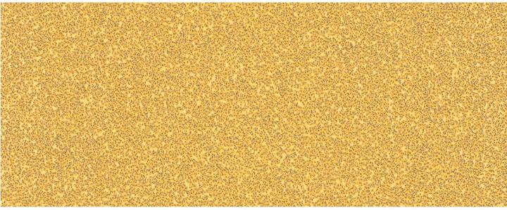 Produktbild Bosch Professional Zubehör EXPERT C470 Schleifpapier ohne Löcher für Schwingschleifer, 93 x 230 mm, G 40, 10-tlg. (40)