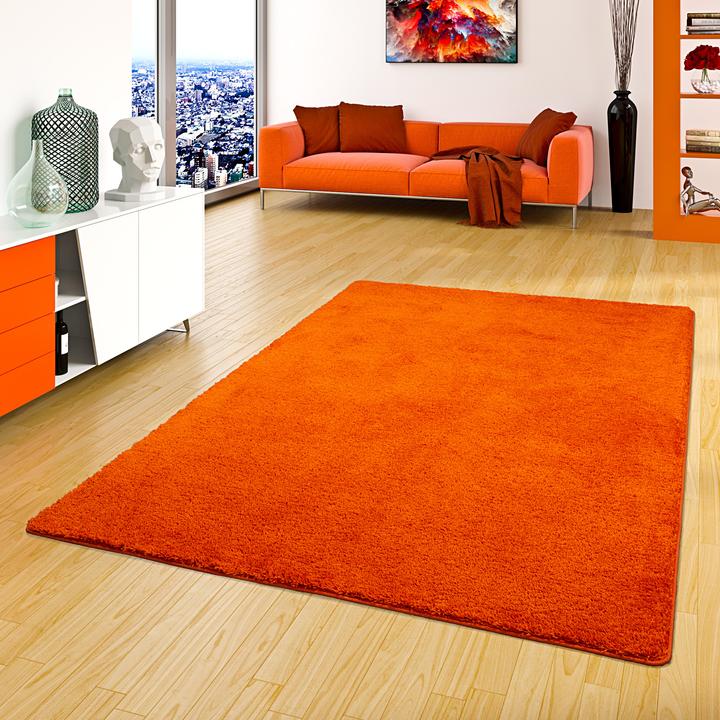 Actual product image Snapstyle Shaggy Carpet Palace (160 x 200 cm)