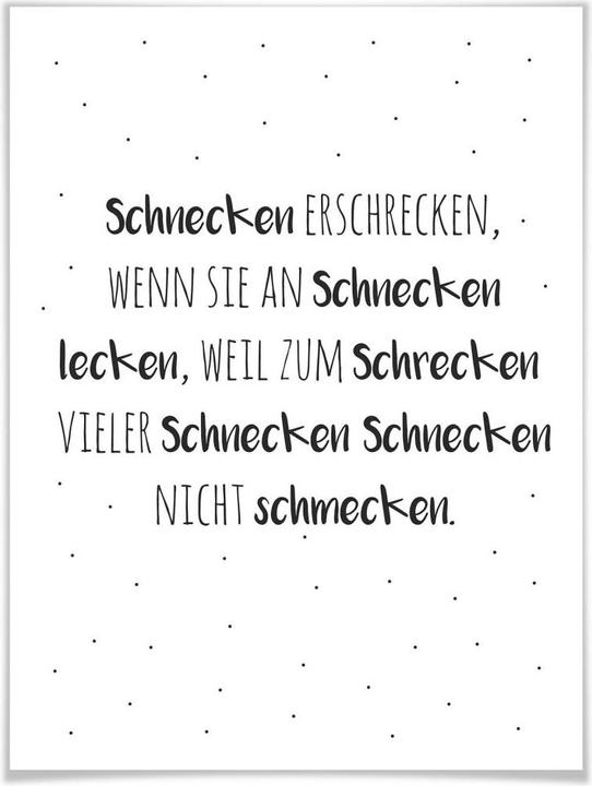 Produktbild Trenddeko Zungenbrecher - Schnecken erschrecken (24 x 30 cm)
