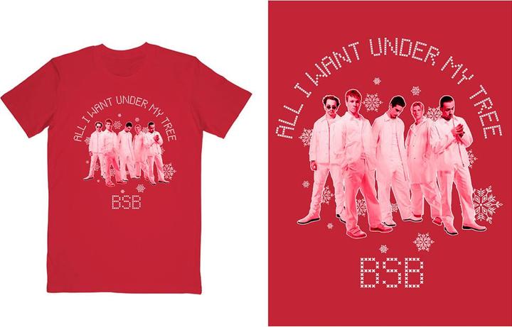 Backstreet Boys All I Want Xmas