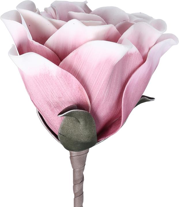 Image du produit EGLO LIVING Molave (65 cm)