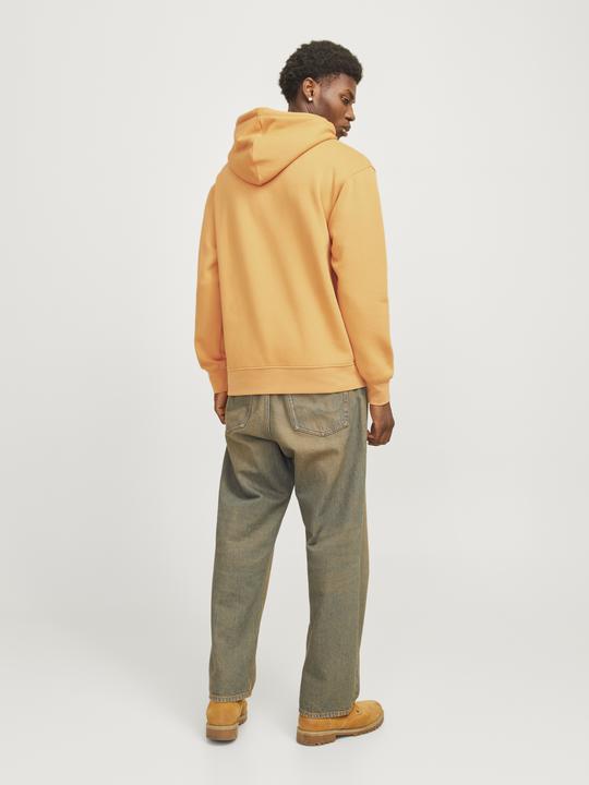 Produktbild Jack & Jones Jorvesterbro Sweat Hood Noos (XXS)