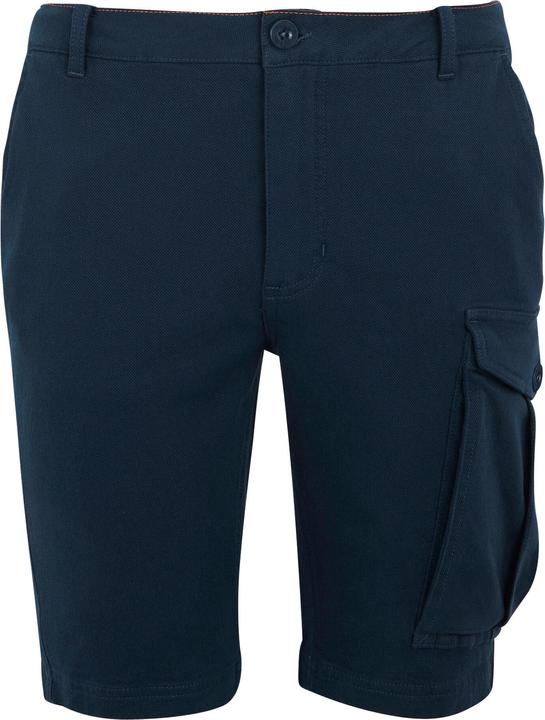 Actual product image Regatta Mens Bendrick Shorts (34)