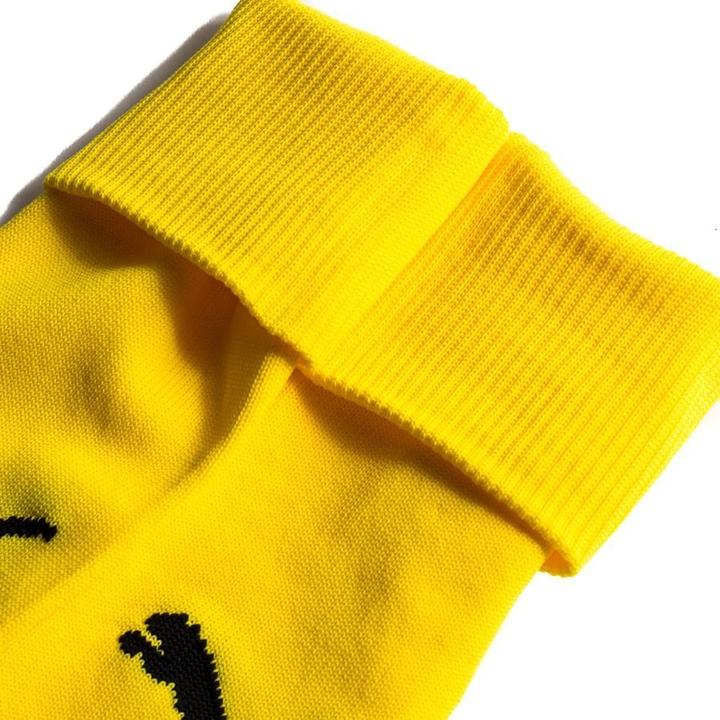 Actual product image Puma Team LIGA Socks CORE-703441 (35, 39)
