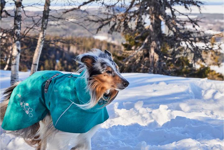 Immagine prodotto Hurtta Monsoon V2 (40, Cappotto impermeabile per cani)