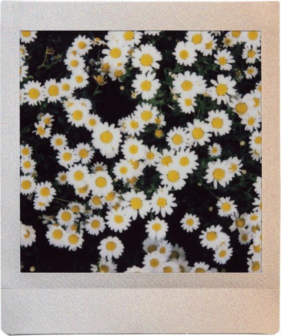 Produktbild Fujifilm instax Square Film Sunset Rainbow (Instax Square SQ10, Instax Square SQ6, Instax Square SQ20)