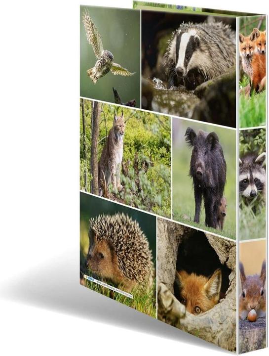 Produktbild Herma Ringbuch A4 Motiv (A4, 35 mm, 1 Stück)