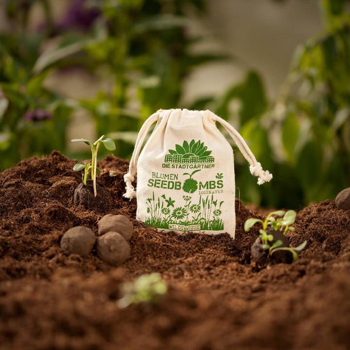 Actual product image Die Stadtgärtner Seed bombs Wild meadow (Lawn reseed)