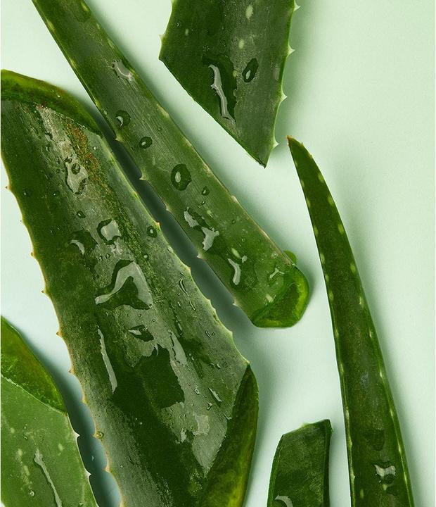 Image du produit NIVEA Bio Aloe Vera (50 ml)