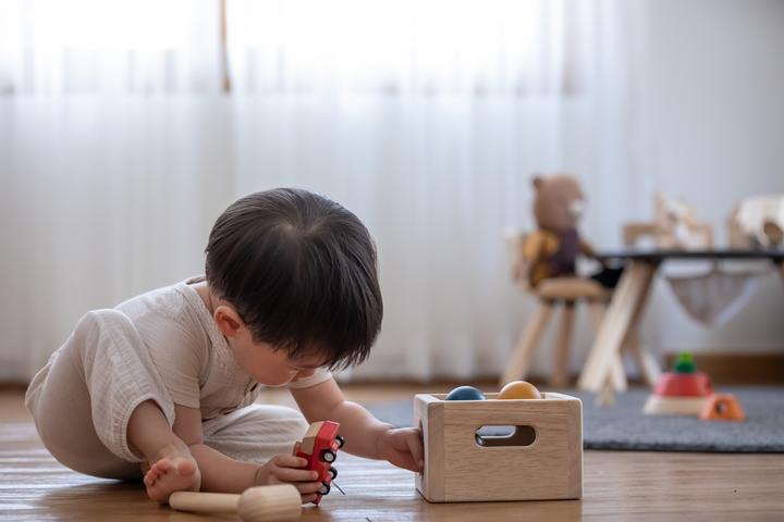 Actual product image Plantoys Hammer set with Orchard balls