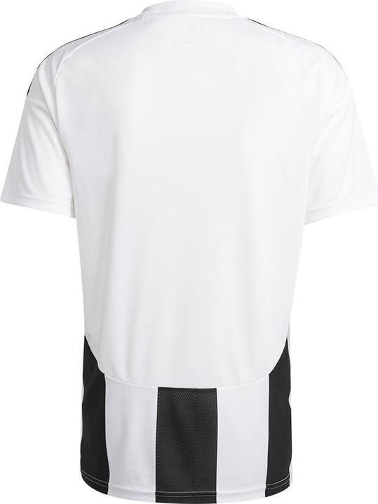Actual product image adidas Striped 24 Jersey (L)