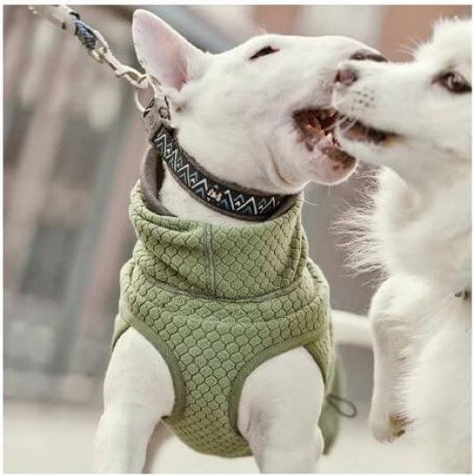 Actual product image Hurtta Razzle-Dazzle Collar Black 55-65 cm (56, 58, 60, 62, Dog, General)