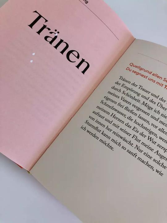 Image du produit Die Kraft des Staunens (Allemand, David Steindl-Rast, 2022)