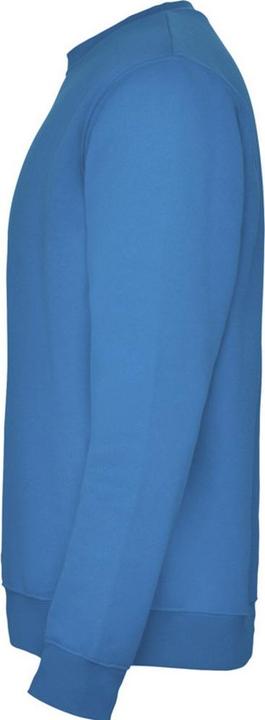 Actual product image Alpinia Unisex Adult Clasica Crew Neck Sweatshirt (3XL)