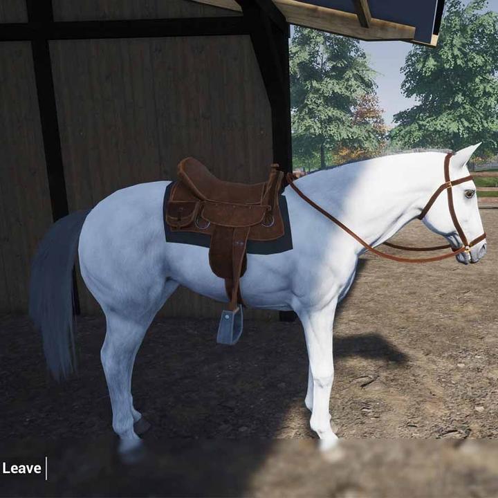 Actual product image Mindscape My Life: Farm Vet (Switch) (Switch, Switch Lite, Switch OLED)