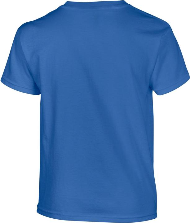 Actual product image Gildan Childrens/Kids Plain Cotton Heavy T-Shirt (140, 146)