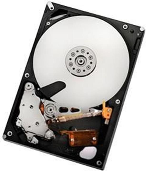 Hitachi HGST 2TB SATAII 32MB, RAID Refurbished (2 TB, 3.5")