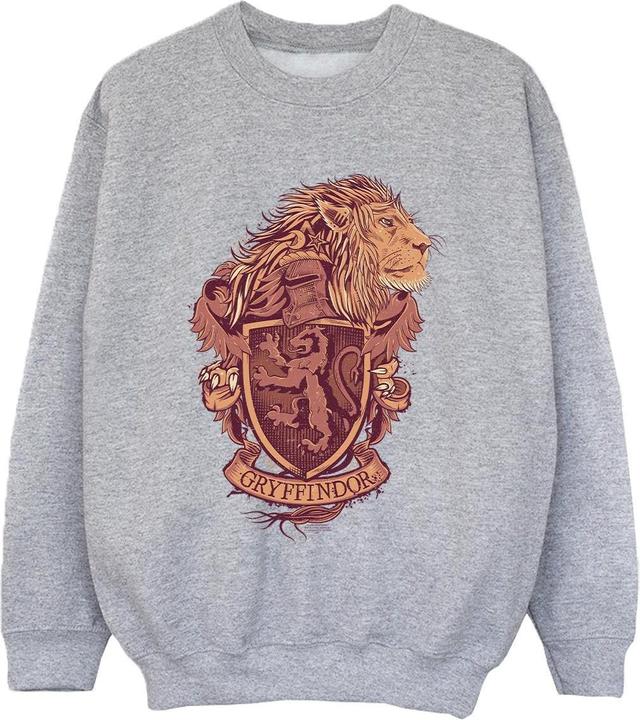 Produktbild Gryffindor Sketch Crest Sweatshirt Jungen (152, 158)