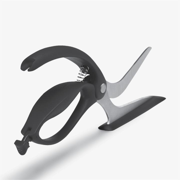 Actual product image DreamFarm Scizza