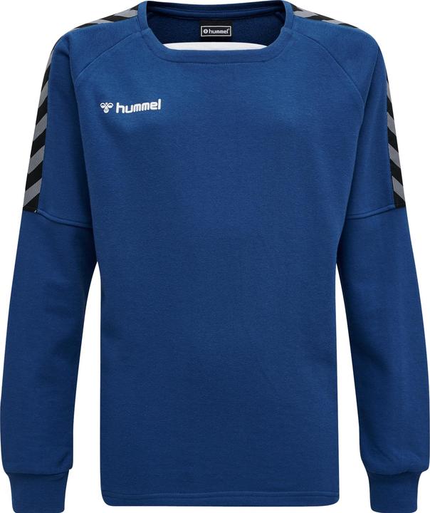 hummel Authentic Kids Training Sweat