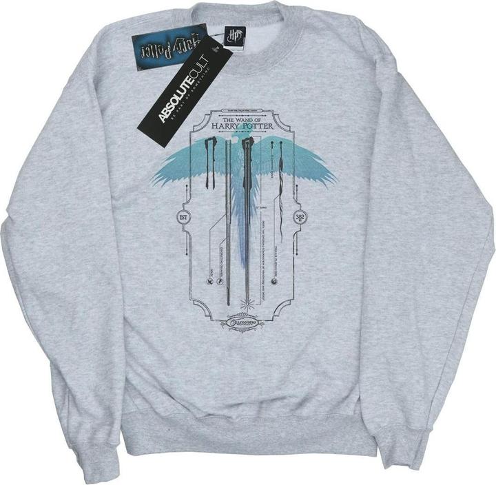Actual product image Boys Garrick Ollivander The Wand Sweatshirt (140, 146)