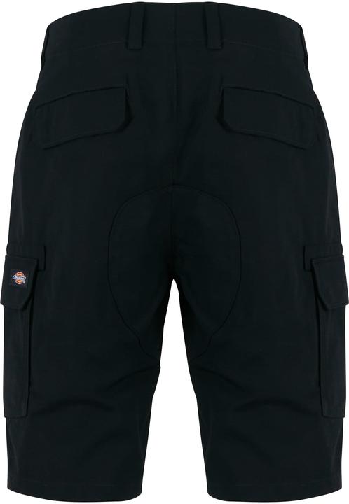 Actual product image Dickies Millerville Shorts (30)