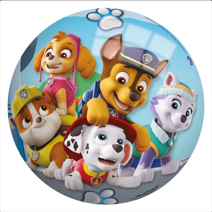 Image du produit John Paw Patrol