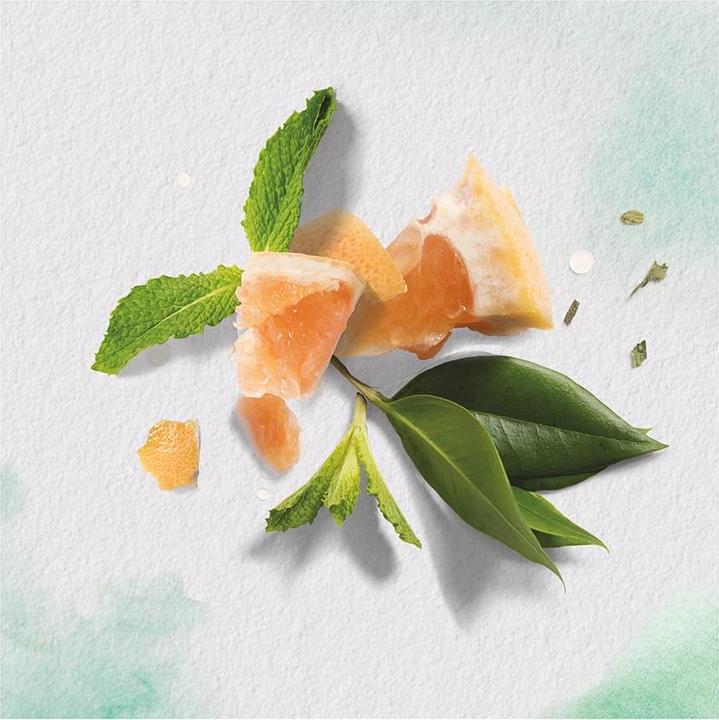 Actual product image Herbal Essences White Grapefruit & Mosa Mint (250 ml, Liquid shampoo)