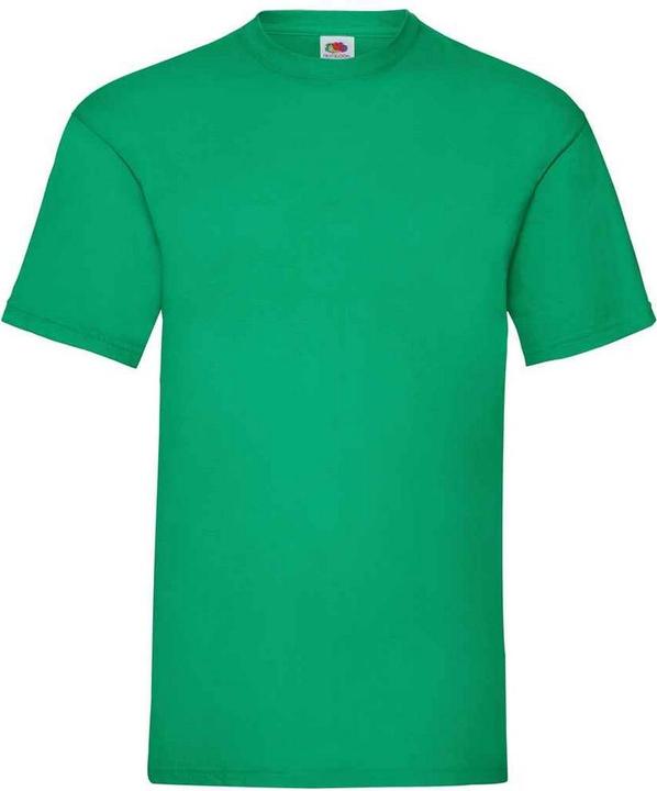 Actual product image Fruit of the Loom Mens Valueweight T-Shirt (M)