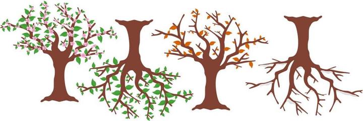 Actual product image Trenddeko Four Seasons (124 x 41 cm)