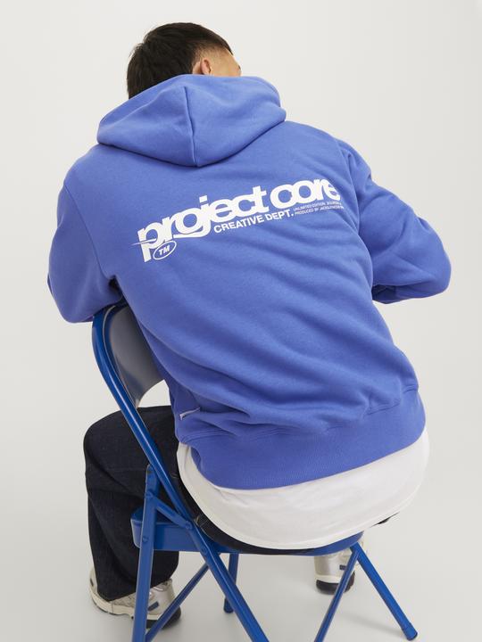 Produktbild Jack & Jones Jcounion Print Sweat Hood Noos (XS)