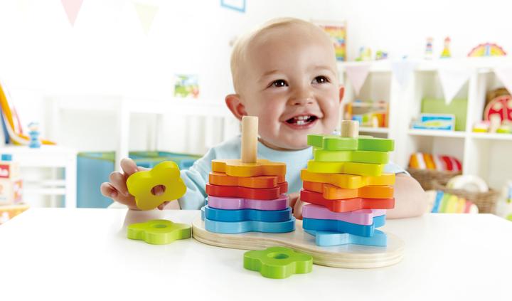 Actual product image Hape Rainbow-Plug-In Game 19pcs. FSC