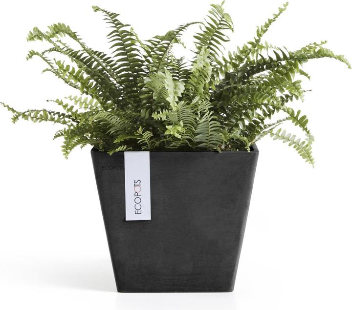 Immagine prodotto Ecopots Rotterdam (20 cm)