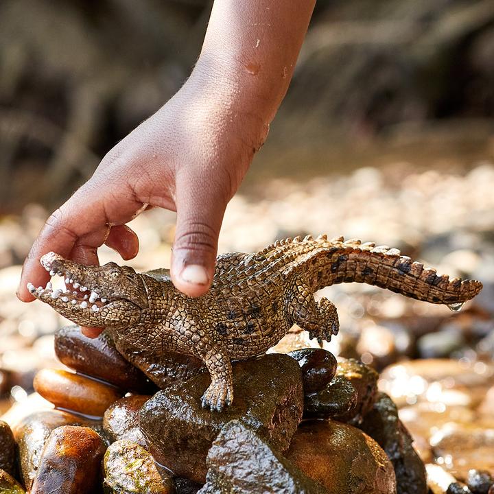 Immagine prodotto Schleich Coccodrillo