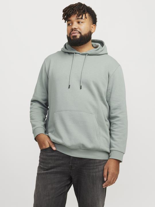 Produktbild Jack & Jones Jjebradley Sweat Hood Noos Pls (XXL)