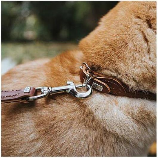 Actual product image Hunter Collar Round & Soft (S, M, Dog)