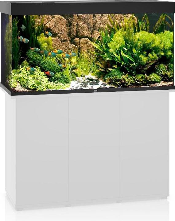 Image du produit Juwel Aquarium Rio (350 l)