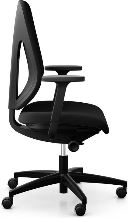 Actual product image Giroflex Xtreme