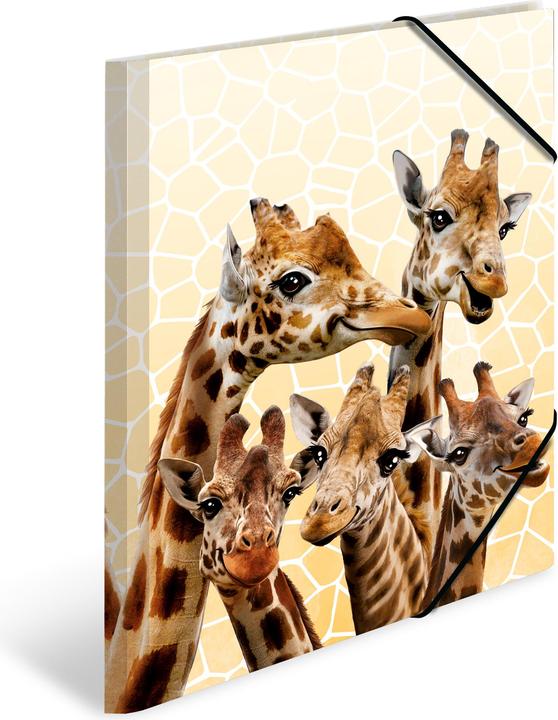Actual product image Herma A3 motif folder (A3, 1 x)