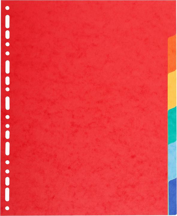 Biella TOP COLOR - Registre A4