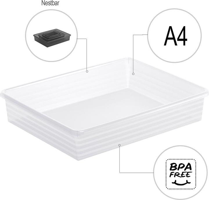 Immagine prodotto Rotho Linus (34,5 x 27 x 6 cm, 0 l)