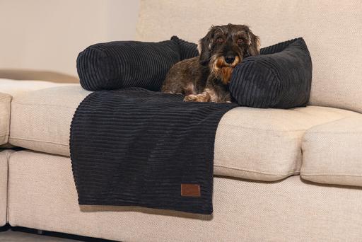 Produktbild Designed by Lotte Ribbed (Hund)