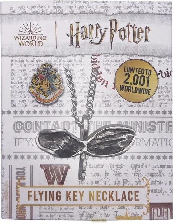 Image du produit Fanattik Harry Potter Collier & Pendentif Clé Volante