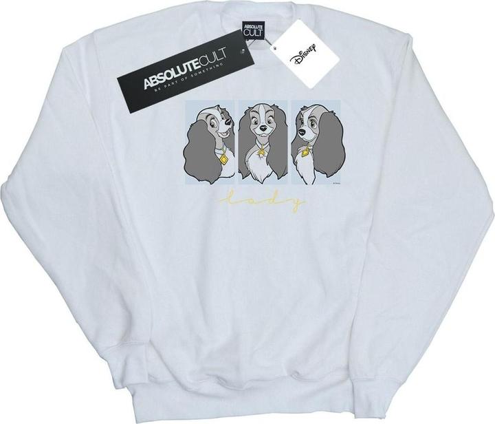 Produktbild Disney Lady And The Tramp Lady Frames Sweatshirt (XXL)