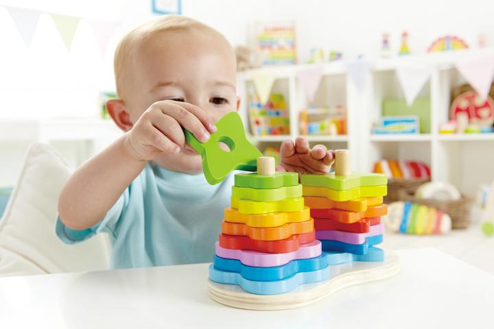 Actual product image Hape Rainbow-Plug-In Game 19pcs. FSC