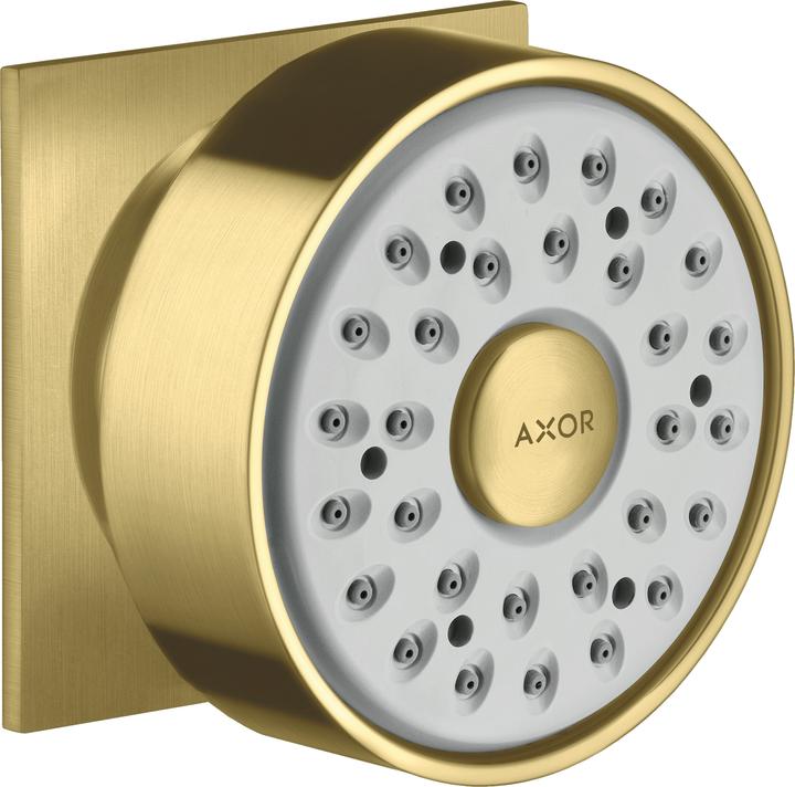 Brushed Brass