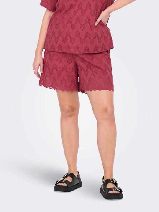 Actual product image Only CARCLEANOR Normal geschnitten Shorts Shorts (42)